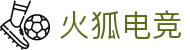火狐电竞 - 助你从观赛到懂赛的进阶指南
